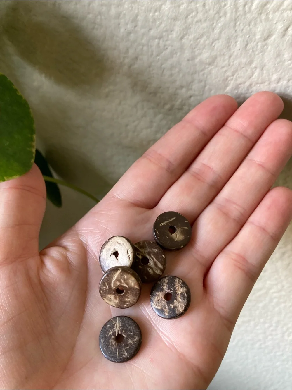 Wood, Coconut and Shell Bead Mix with Organizer
